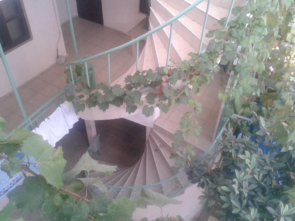 Maxim Mini Hotell Batumi Rom bilde